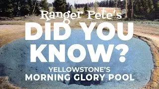 Ranger Pete's DID YOU KNOW: Yellowstone's Morning Glory Pool