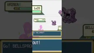 Pokemon Leaf Green Jan 23