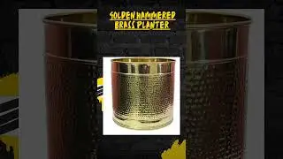 Top 3 Luxury Brass Planters for Aesthetic Homes - Amazon Finds