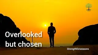 Overlooked but chosen: David's story - strength for waiting seasons
