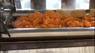Drum drying sweet potato flakes