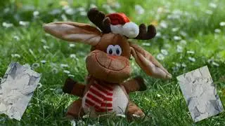 Bits of paper nursery rhymes / rhymes for kids