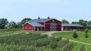Munchkey Apples - Cleary Building Testimonial