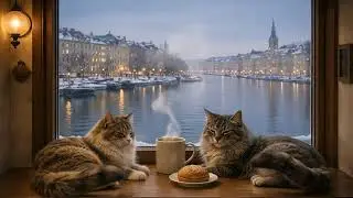 🐈❄️ Stockholm Cat Café | Cozy Winter Ambience | Snowy Harbor & Soft Nordic Music (1 Hour)