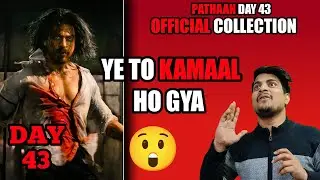 Pathaan Day 43 Official Box Office Collection || Pathaan Day 43 Official Worldwide Collection