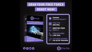 How to install HEXA Expert advisor on Meta Trader software?