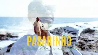PASARINHO (TIU DI MUNDO)