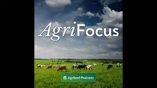 Budget 2025 Special - what it means for farmers