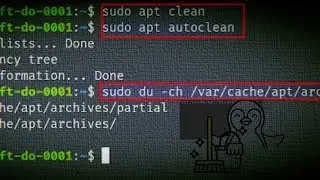 How to Clean the DNF and APT Caches in Linux