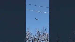 ниско летящ самолет