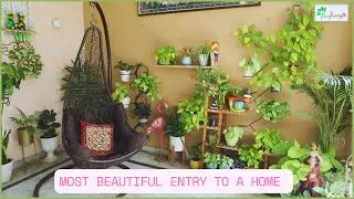 Tips to beautify entrance of your Home, Which Plants to keep on the entry of your home