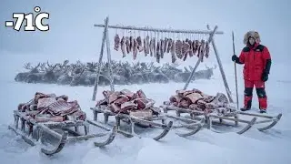 5-Тонный Лось в Якутии: Выживание при –71°C и Питание Для Всей Деревни