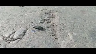 Что это?...