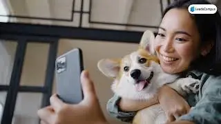 Exclusive & OPT IN US Pet Owner Leads | Dog Owners | Cat Owners | Leadscampus