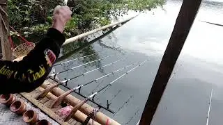 Mancing di Alam Bebas Cirata Sangat Banyak Ikan nya Walau Pun Ga Ada Badotnya