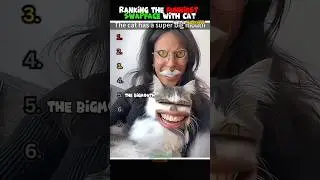 RANKING FUNNIEST SWAPFACE with Cat Moments (Part 1) NO.1 IS HILARIOUS🤣 #shorts #shortvideo #animals