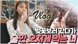 벚꽃보러간 트랜스젠더! 꽃은안보고 술은 왜..? 성형후 봉인됐던 술력끌어올리는중