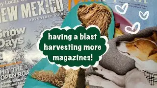 harvesting more magazines because it’s too much fun and I can’t stop 😂 #gluebook #magazine 📒