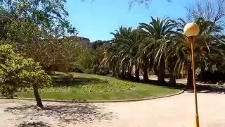 Жизнь в Испании. Прогулка по парку Benicalap.