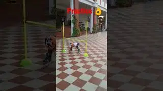 👌👍 School practice 👍👌#shorts #skater #aadyant #school #skating #practice #sports #dream #challenge 🙏