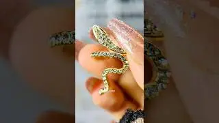 Snake Ring 🐍💍 Use code ale412527 and get extra discount #temu #temufinds #viral
