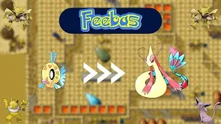 Quest Feebas [N&iacute;vel 131]- Pokemon BR