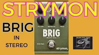 Strymon Brig: A No-Talking Stereo Demo