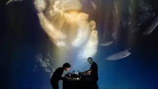 Franck Vigroux & Kurt d&rsquo;Haeseleer - The Island (Excerpt)
