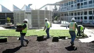 Fast Layout of Etera SEDUM TILES.AVI