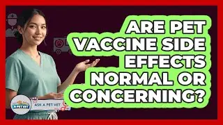 Are Pet Vaccine Side Effects Normal Or Concerning? - Ask A Pet Vet