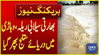 Indian Flood Disaster: Sutlej River Overflows In Vehari | Breaking News | Dawn News