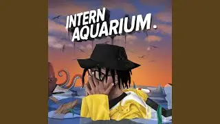 Internlude