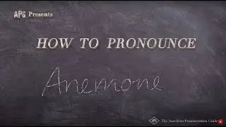 How to Pronounce Anemone
