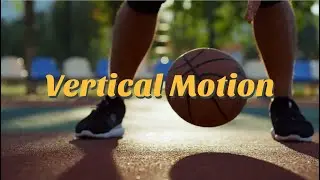 Vertical Motion