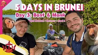 🇧🇳 Brunei Travel Vlog - Day 3: Review Boat Trip, Monkeys Watching, Souvenirs, Street Food, Museum