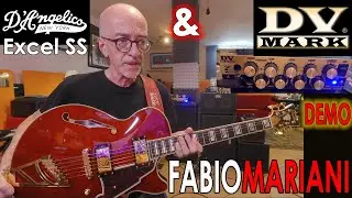 D'Angelico Excel SS & DV Mark Micro 60 CMT