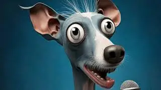 J Gatsby Presents  Dog Z News Music Videos 2025