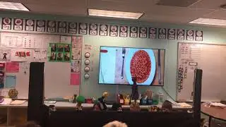 Puppets show at Westhill Elementary - The cheetah and the sloth