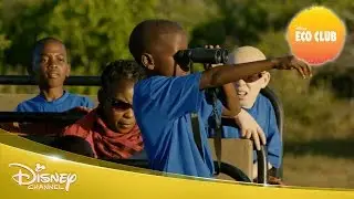 Eco Club - Sazi Interview | Official Disney Channel Africa