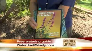 Water - Use It Wisely: Arbor Day