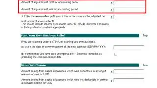 Completing the self employed income section in Form 11 2018