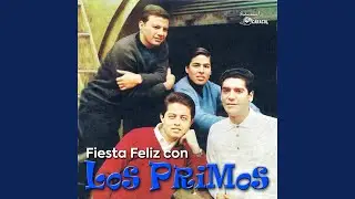 Primo en La