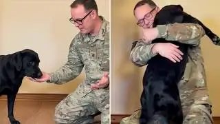 Blind Dog Doesn't Recognize Owner After Deployment... Until She Sniffs Him