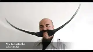 My Moustache - by Larry Nickel