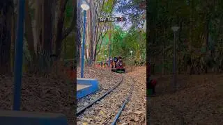 Toy Train Ride 🚂🚂 Bangalore Cubbon Park Bal Bhawan #shorts