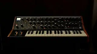 My Love Letter to the MOOG Subsequent 37 (DEMO+JAMS)