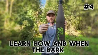 How to call Elk series. Bark