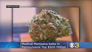 Medical Marijuana Sales In Pennsylvania Top $500 Million