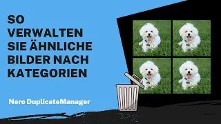 So verwalten Sie &auml;hnliche Bilder nach Kategorien | Nero DuplicateManager Anleitung