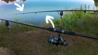 CARP BITES COMPILATION 2021 4K! PART 1